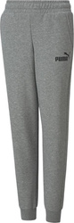 Spodnie dla dzieci Puma ESS Logo Pants FL szare 586973 03