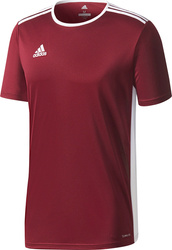 Koszulka dla dzieci adidas Entrada 18 Jersey JUNIOR bordowa CE9564