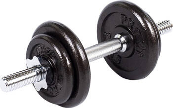 Hantel żeliwny Profit 10 kg DK 4126