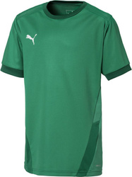 Koszulka dla dzieci Puma teamGOAL 23 Jersey zielona 704160 05