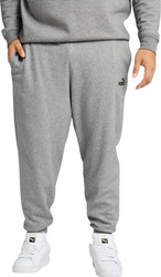 Spodnie męskie Puma ESS no.1 Logo Sweatpants FL szare 682606 03