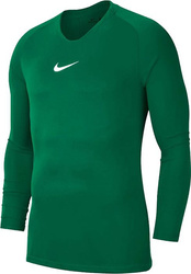 Koszulka treningowa termoaktywna męska Nike Dry Park First Layer JSY LS zielona AV2609 302