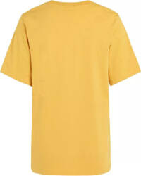 Damska koszulka z krótkim rękawem O'neill FUTURE SURF SOCIETY REGULAR T-SHIRT golden haze rozmiar M
