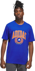 Koszulka męska adidas Varsity Crest niebieska JN2515
