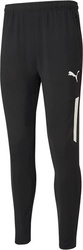 Spodnie męskie Puma teamLIGA Training Pants czarne 657332 03