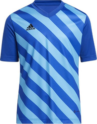 Koszulka dla dzieci adidas Entrada 22 Graphic Jersey niebieska HF0130
