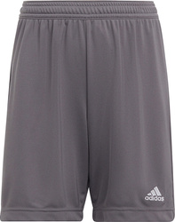 Spodenki dla dzieci adidas Entrada 22 szare H57507
