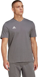 Koszulka męska adidas Entrada 22 Tee szara HC0449
