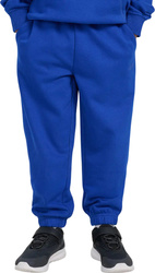 Spodnie dla chłopca 4F CAS M1245 kobalt 4FJWAW25TTROM1245 36S