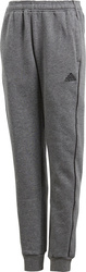 Spodnie dla dzieci adidas Core 18 Sweat JUNIOR szare CV3957