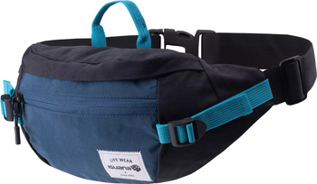 Saszetka torebka sportowa nerka biodrowa na pas Iguana Gomeisa