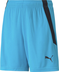 Spodenki dla dzieci Puma teamLIGA Shorts Jr niebieskie 704931 40