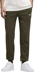 Spodnie męskie Puma ESS 2 Color No.1 Logo oliwkowe 684713 70