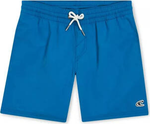 Dziecięce szorty O'neill VERT 14" SWIM SHORTS mary poppins rozmiar 140