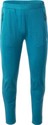 Męskie spodnie treningowe oddychające IQ Eriod II rozmiar S