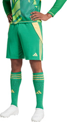 Spodenki treningowe krótkie męskie adidas Tiro 24 zielone IT2414