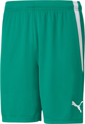 Spodenki męskie Puma teamLIGA zielone 704924 05