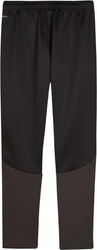 Spodnie dla dzieci Puma Team Goal Training czarne 658641 03