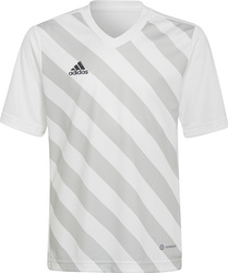 Koszulka dla dzieci adidas Entrada 22 Graphic Jersey biało-szara HF0120