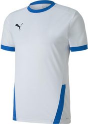 Koszulka męska Puma teamGOAL 23 Jersey biało-niebieska 704171 12