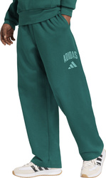 Spodnie męskie adidas Collegiate zielone JM9178