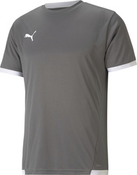 Koszulka męska Puma teamLIGA Jersey szara 704917 13