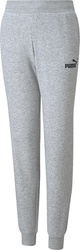 Spodnie dla dzieci Puma ESS Sweatpants TR szare 587037 04