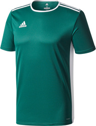 Koszulka dla dzieci adidas Entrada 18 Jersey JUNIOR zielona CE9563
