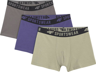 Bokserki dla chłopca 4F M061 3pak multikolor 1 4FJWAW25UBXSM061 91S