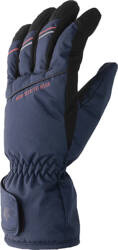 Rękawice narciarskie męskie 4F FNK M096 granatowe 4FAW23AFGLM096 31S