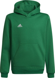 Bluza dla dzieci adidas Entrada 22 Hoody zielona HI2143