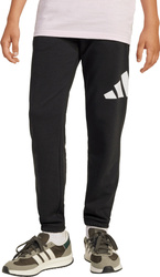 Spodnie dla dzieci adidas Essentials 280 czarne JD2090