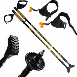 Kije kijki Nordic Walking Nils Extreme NW603