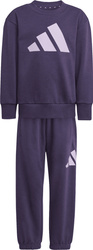 Dres dla dzieci adidas Essentials Joggers fioletowy JW2439