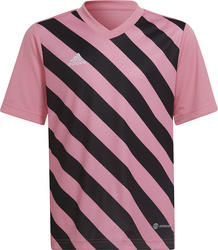 Koszulka dla dzieci adidas Entrada 22 Graphic Jersey różowo-czarna HC2632