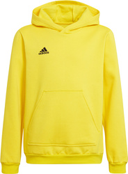 Bluza dla dzieci adidas Entrada 22 Hoody żółta HI2142