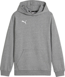 Bluza dla dzieci Puma Team Goal Casuals Hoddy szara 658619 33