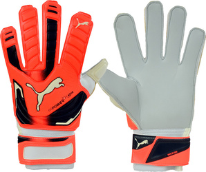 Rękawice bramkarskie Puma Evo Power Grip 2 Aqua 041145 30