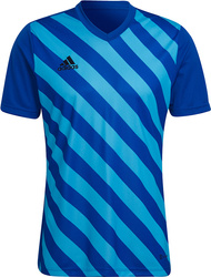 Koszulka męska adidas Entrada 22 Graphic Jersey niebiesko-błękitna HF0116