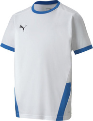 Koszulka dla dzieci Puma teamGOAL 23 Jersey biało-niebieska 704160 12