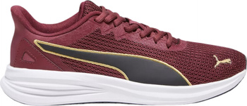 Buty męskie Puma Transport Modern bordowe 377030 12