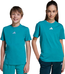 Koszulka dla dzieci adidas Essentials Tee 160 zielona JW0005