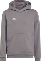 Bluza dla dzieci adidas Entrada 22 Hoody szara H57515