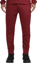 Spodnie męskie 4F FNK M0936 czerwone 4FWAW25TFTRM0936 61S