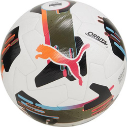 Piłka nożna Puma Orbita 1 TB FIFA Quality Pro 84322 01