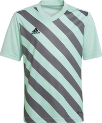 Koszulka dla dzieci adidas Entrada 22 Graphic Jersey miętowo-szara HF0127