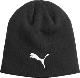 Czapka Puma Individual Winterized Tech czarna 024943 01