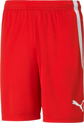 Spodenki męskie Puma teamLIGA czerwone 704924 01