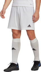 Spodenki treningowe krótkie męskie adidas Entrada 22 białe HG6295