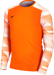 Bluza bramkarska dla dzieci Nike Dry Park IV JSY LS GK Junior pomarańczowa CJ6072 819